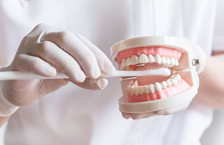 ダミーテキスト